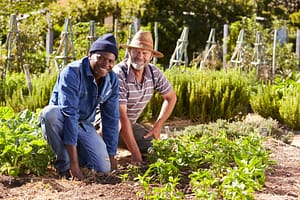 Two smiling farmers working in an organic vegetable garden, surrounded by lush greenery and fresh plants, embodying teamwork, sustainability, and community farming.