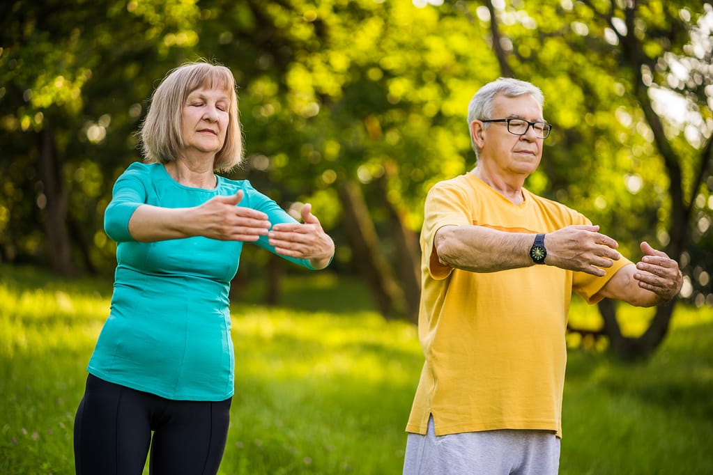 Tranquil natural setting with sunlight filtering through green trees, creating a serene and peaceful atmosphere perfect for meditation or relaxation.