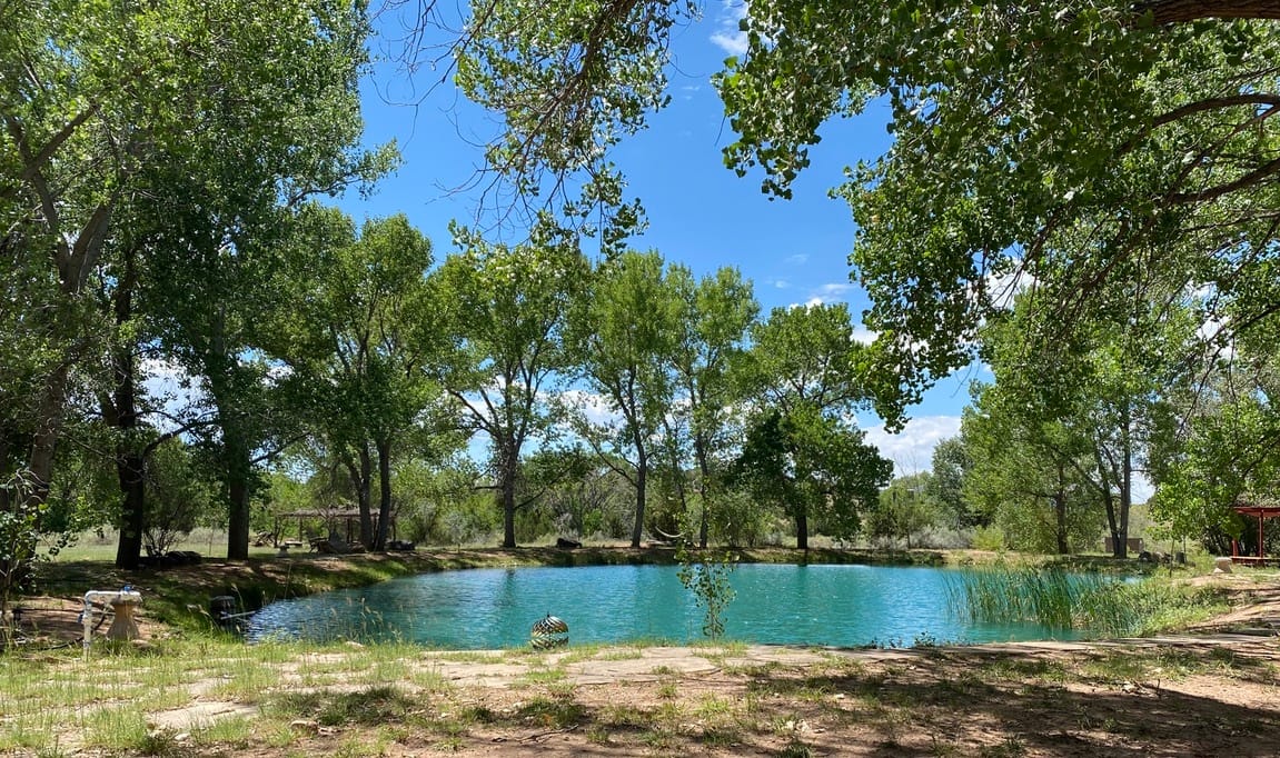 A blue pond surrounded by trees and grass at The Chi Center
