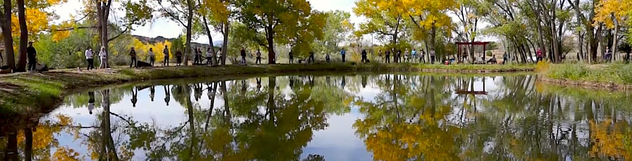 A pond surrounded by trees with yellow leaves at The Chi Center
