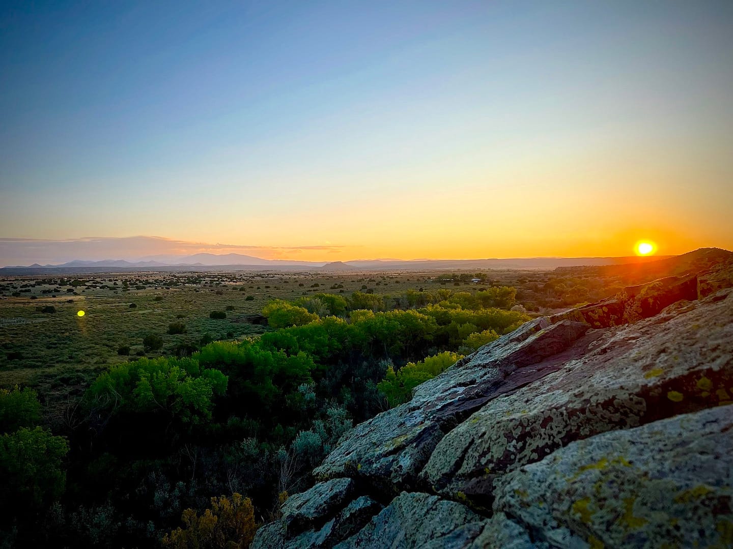 Sunrise over the serene New Mexico desert landscape, with lush greenery, rocky foreground, and distant mountain ranges under a vibrant golden sky.