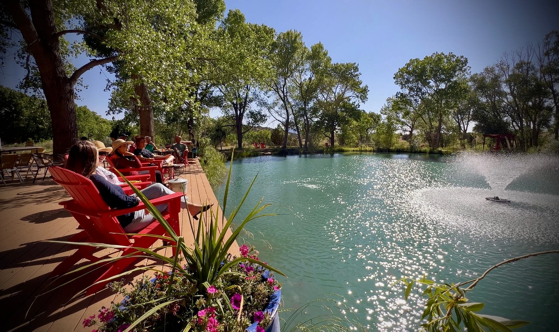 Tranquil view of the Chi Center's Koi Pond, surrounded by lush green trees under a clear blue sky, creating a serene and rejuvenating atmosphere for relaxation and meditation.