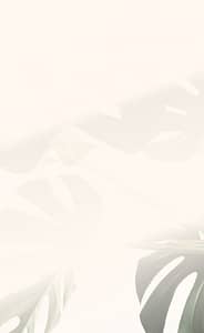 Minimalistic background with soft beige tones and faint monstera leaf patterns, evoking a calm and natural aesthetic.
