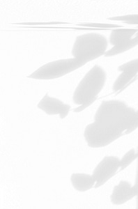 Soft shadows of leaves and stems against a light background, creating a delicate and minimalist pattern. The subtle interplay of light and shadow evokes a sense of calm and nature, ideal for themes of relaxation and introspection.
