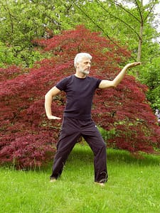 A man standing in a field practicing Qigong.