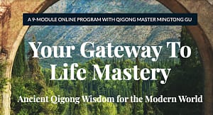 Your Gateway To Life Mastery banner