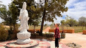 Statue of Guan Yin, the Bodhisattva of Compassion, surrounded by tall pine trees and set against a bright, serene sky at a tranquil retreat space.