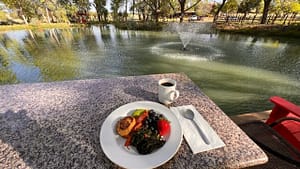 Serene outdoor dining scene with a plate of food and coffee overlooking a peaceful pond with a water fountain, surrounded by lush trees.