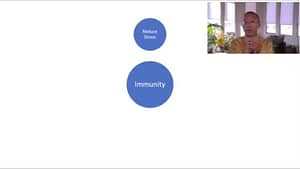 A slide presentation featuring two blue circles labeled "Reduce Stress" and "Immunity" on a white background, with a video inset of Master Mingtong Gu speaking in a room filled with natural light and greenery.