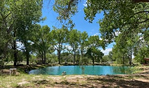 A blue pond surrounded by trees and grass at The Chi Center