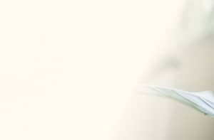 Minimalistic soft beige background with a subtle hint of a delicate leaf on the right, evoking a serene and natural atmosphere.