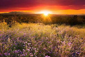 Landscape photo of the New Mexico High Desert