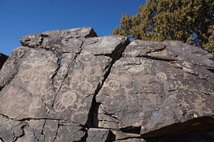 Ancient petroglyphs etched into a large rock formation under a clear blue sky, surrounded by desert vegetation, showcasing historical and cultural significance.