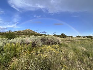 A rainbow in the sky over a grassy field at The Chi Center.