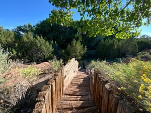 Rustic wooden trail leading into lush greenery with dense trees, wild shrubs, and bright yellow wildflowers, creating a serene pathway to the Grand Trees and Wilderness under a clear blue sky.