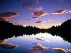 A serene sunset over a calm forest lake, reflecting a vibrant sky with hues of purple and orange, interspersed with softly illuminated clouds. The surrounding evergreen forest and the still waters create a peaceful setting conducive to practicing Wisdom Healing Qigong, enhancing mindfulness and connection with nature.