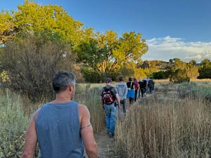 A group of people walk in single file along a narrow trail through tall grasses and sagebrush, heading toward a large, majestic tree known as the 'Grandmother Tree.' The sun casts a warm glow on the landscape, highlighting the natural beauty of the scene. The journey appears peaceful and contemplative, symbolizing a shared connection to nature and the wisdom embodied by the Grandmother Tree.