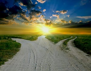 A captivating sunset illuminates the sky, casting golden and orange hues above a tranquil landscape with three winding dirt paths diverging through a grassy field. The radiant beams of the sun piercing through fluffy clouds evoke a serene and meditative ambiance, reflecting the harmonious principles of Wisdom Healing Qigong.