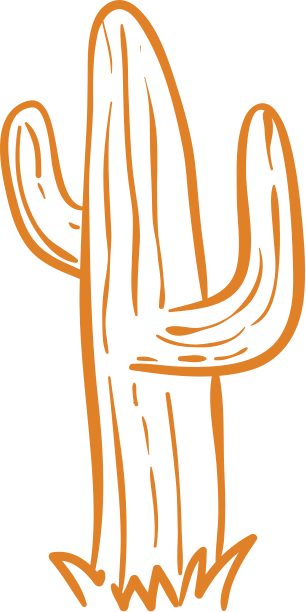 Simple line drawing of a cactus in orange, symbolizing the desert landscape and resilience of the Southwest.