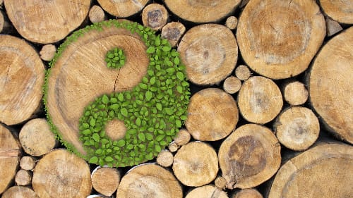 Artistic depiction of a Yin-Yang symbol formed by green leaves and tree rings, set against a background of stacked wooden logs, representing harmony between nature and balance.