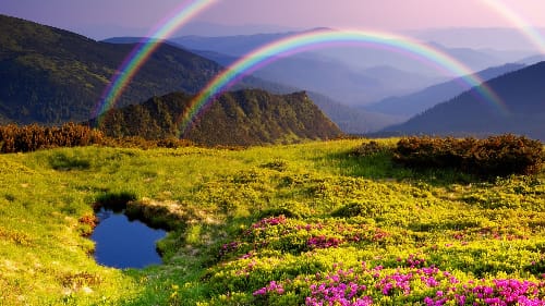 Scenic view of a lush green meadow with vibrant pink flowers, a small reflective pond, and two radiant rainbows arching over misty mountain ranges, evoking a sense of peace and natural wonder.