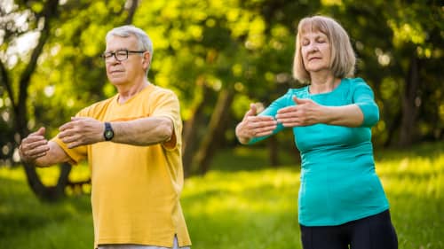 Two senior individuals practicing Qigong in a peaceful outdoor setting, surrounded by green trees and sunlight, promoting balance and well-being.