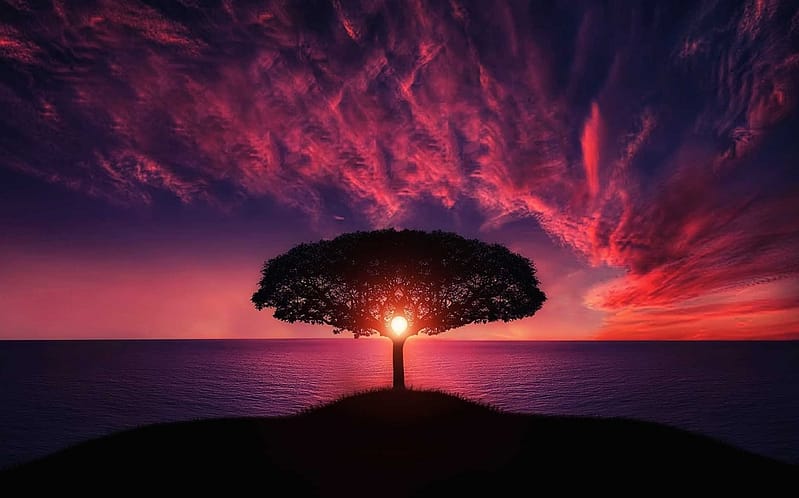 A solitary tree stands majestically on a small hill against a breathtaking sunset over calm waters. The sun is perfectly aligned at the tree’s base, casting a radiant glow that illuminates the branches like a natural lantern. The sky is ablaze with deep purples, fiery reds, and rich oranges, blending into the horizon to create a surreal and enchanting atmosphere, evoking a sense of peace and wonder.