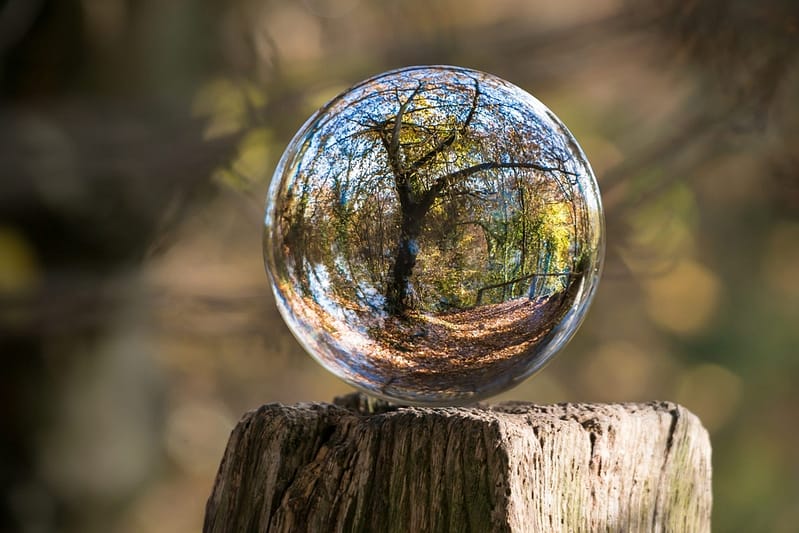 A crystal ball resting on a weathered tree stump, capturing the reflection of a serene forest scene. Inside the sphere, trees with autumn foliage and a leaf-covered path appear inverted, creating a surreal, miniature landscape. The background is softly blurred, highlighting the intricate details and vibrant colors within the glass orb, offering a glimpse of nature through a different perspective.