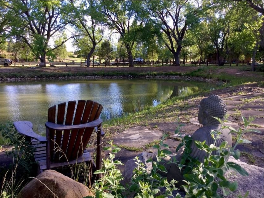 A wooden chair sitting next to a body of water at The Chi Center